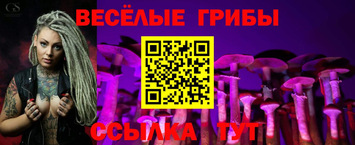 Галлюциногенные грибы GOLDEN TEACHER Кириши