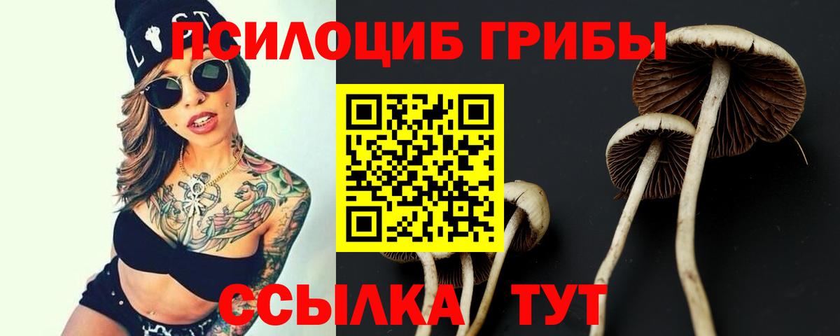 Галлюциногенные грибы Psilocybe  Вход с VPN  Кириши 
