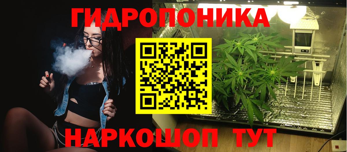 Конопля гибрид  Вход с VPN  Кириши  Канабис конопля  МАРИХУАНА ГИДРОПОН 